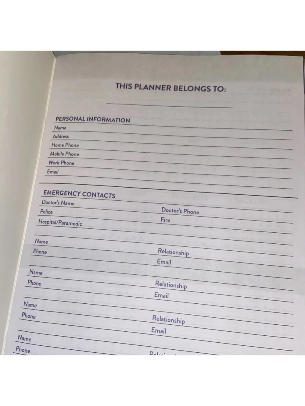 2025 Bright Planner & Agenda 32 Pages Each 6.75 X 9.5Inches Paperboard Lot Of 3.